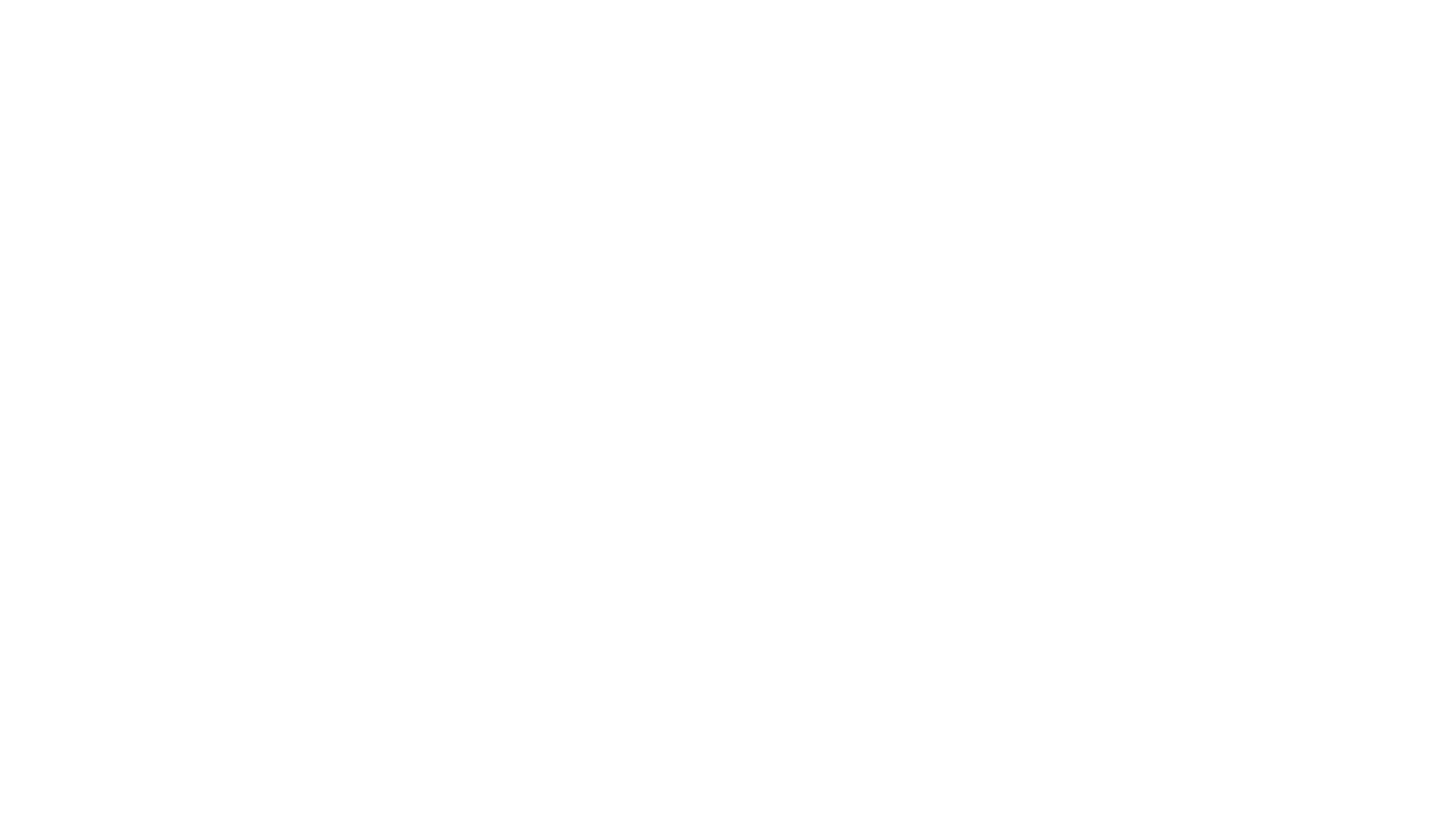 NOURA STUDIO logo